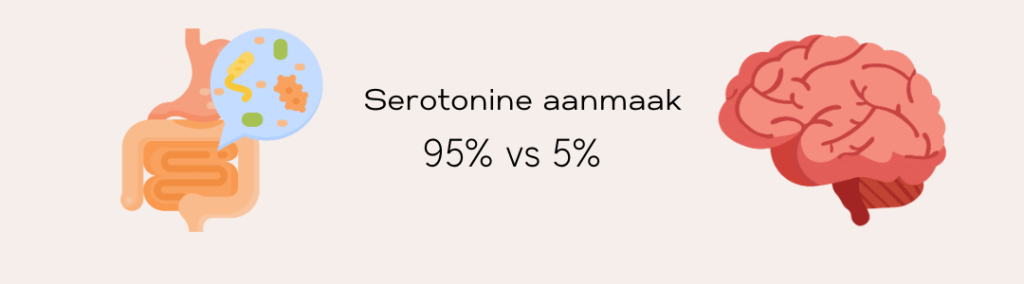 Serotonine is voor 95% aanwezig in de darmen en 5% in de hersenen
