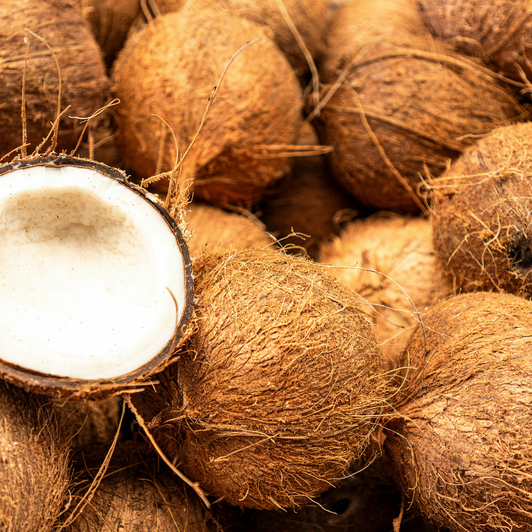 Kokosnoten met kokosolie
