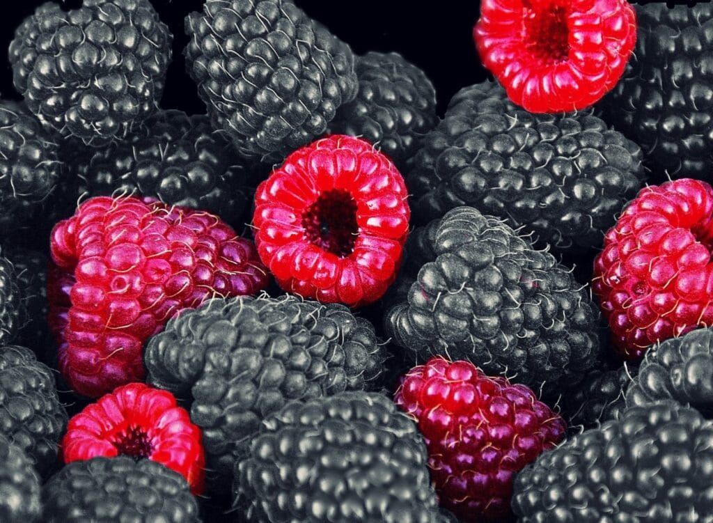 keto voedingslijst fruit bessen